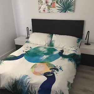 Apartamento Ciudad Lineal Reciente Reforma , Madrid España